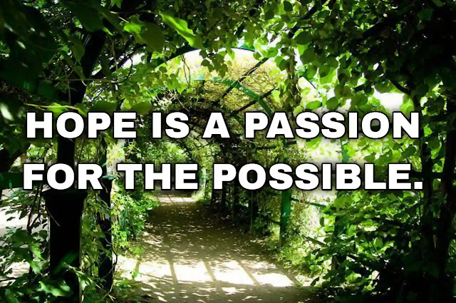 Hope is a passion for the possible.