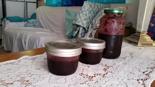 blueberry vinegar jam