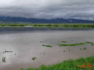 Inundatii Joseni - Borzont