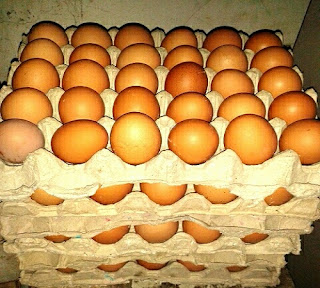 simpan pada wadah telur ayam