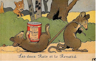 animaux rats renard