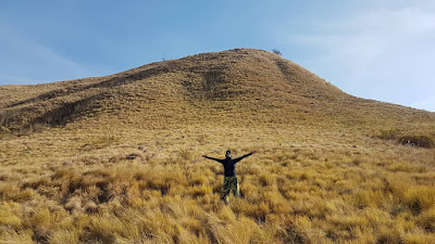 savana labuan bajo