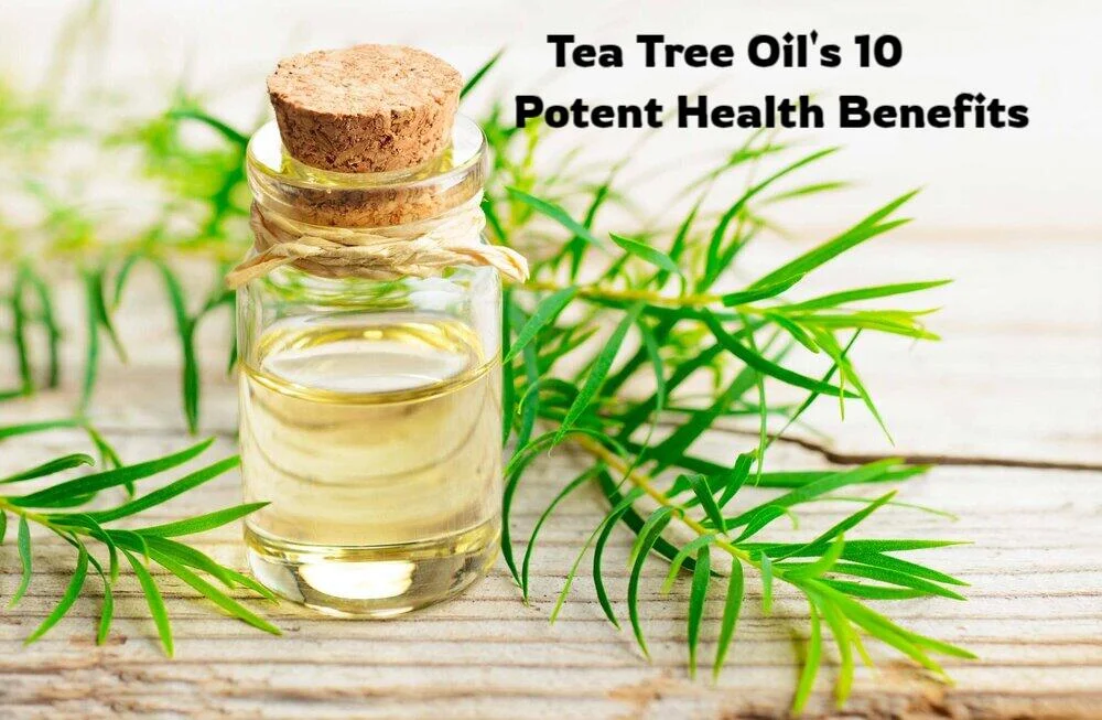 Tea Tree Oil's 10 Potent Health Benefits