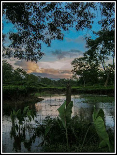 গেলেকীৰ সৌন্দৰ্য 