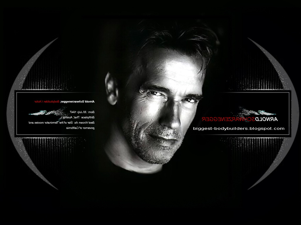 biggest body builders: Arnold Schwarzenegger wallpaper hd
