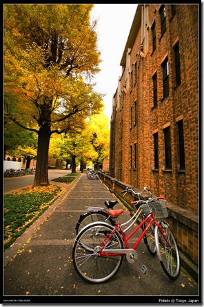 Tokyo Uni5