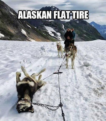 Alternative of tire in alaska