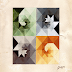 Download Gotye - Making Mirrors (Full Album)