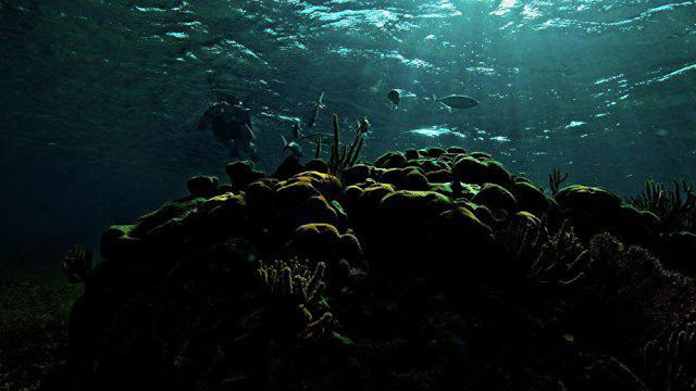 Первый подводный отель появится в акватории Мальдив