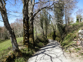 Spain, Route to Santiago, from Cebreiro to Triacastela   by E.V.Pita (2015)  http://picturesplanetbyevpita.blogspot.com/2015/04/spain-route-to-santiago-from-cebreiro.html   Camino de Santiago, de Cebreiro a Triacastela  por E.V.Pita  O Camiño, dende O Cebreiro a Triacastela