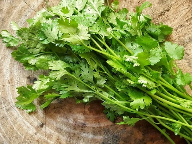 Mua nhiều rau mùi, đừng cho ngay vào tủ lạnh, thêm vài bước nữa để nửa năm vẫn xanh tươi - 1