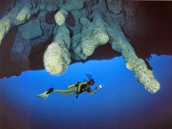 Best Places To Go Scuba Diving On Earth | Corals in the Great Blue Hole, Belize