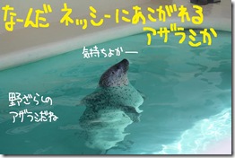 今日カズ１００６０７　６