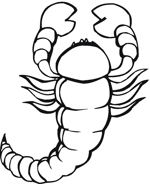 Top 10 scorpion coloring pages for kids