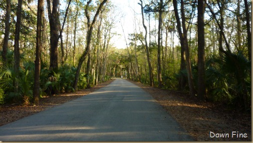 Chassahowitzka  River_040