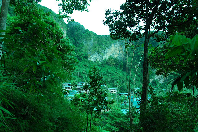 Вид с обезьяньей тропы. View from monkey road