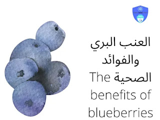العنب البري والفوائد الصحية The benefits of blueberries