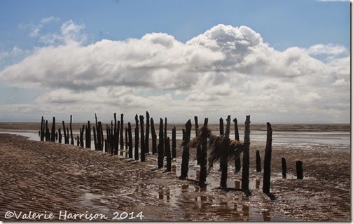 13-Mersehead-beach