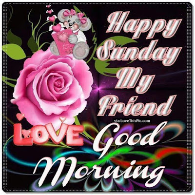 Happy Sunday Friends