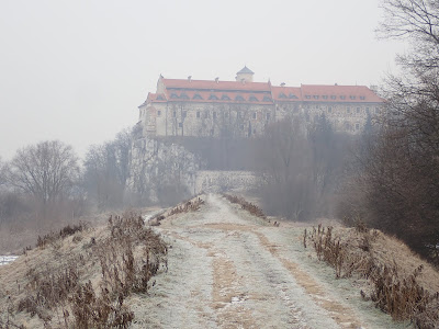 Tyniec, spacer w Tyńcu, na wałach Wisły i Skawinki