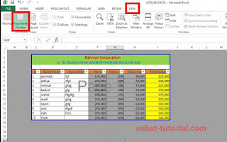 Cara Memunculkan Garis Biru di Excel