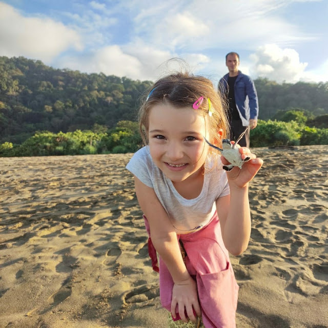 gambar pantai sukamade