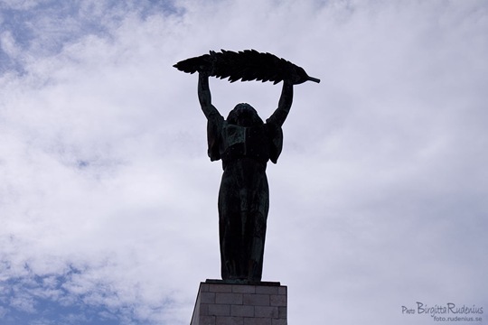 staty_20110813_frihets2