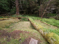 Haida Long House Pit