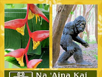 Na Aina Kai Botanical Gardens On The North Shore
