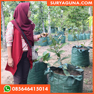 planter bag dari suryaguna 085646415014