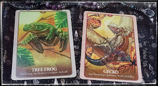 Tree Frog & Gecko Have Messages for You!