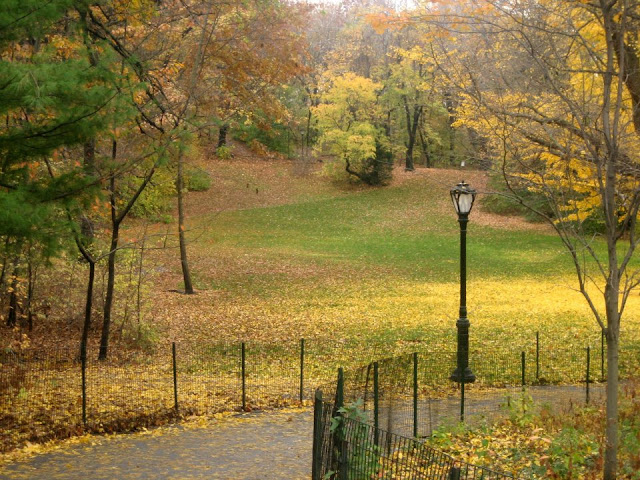 sitios que no te puedes perder si vas a Nueva York