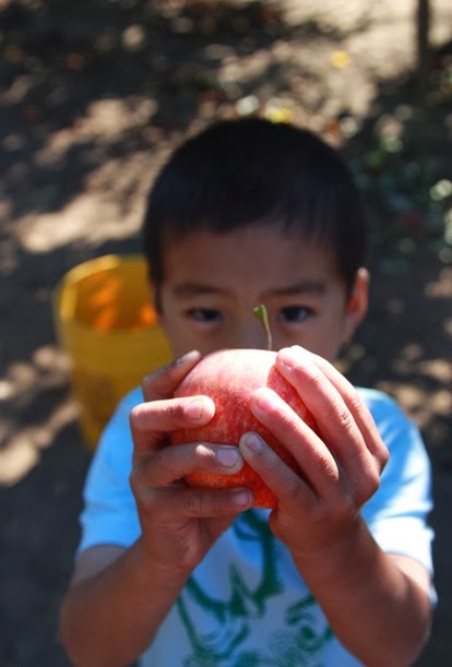 2013-09-27_023