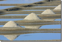 St-Hilaire-de-Riez marais salants 2