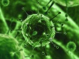 WHO: a koronavírus világméretű veszélyt jelent