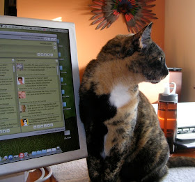 tortoiseshell cat and computer, in home office