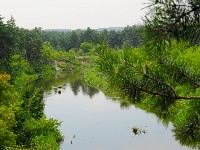 Золота Круча. Околиці села Ворони Котелевського району