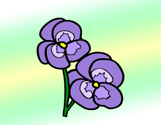 Pansy Drawing