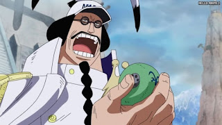 ワンピースアニメ 頂上戦争編 467話 センゴク | ONE PIECE Episode 467