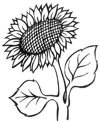 Flores para desenhar e colorir no papel - desenhos de Girassol