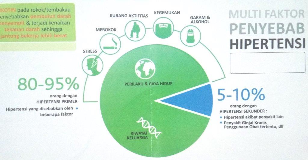 2 Faktor Penyebab Hipertensi  Yang Harus Diwaspadai OIM 