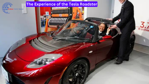 The Experience of the Tesla Roadster