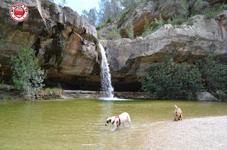 Charco del chorro en Quesa