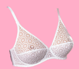 Underwired classic sheer cups bra.