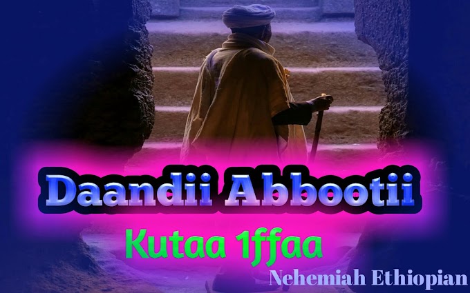 Daandii Abbootii | Kutaa 1ffaa