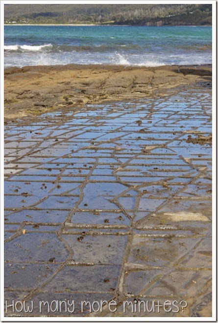 How Many More Minutes? ~ Tessellated Pavement in Tasmania
