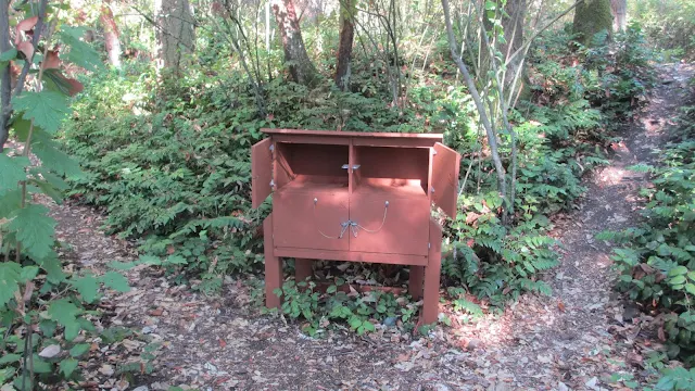 Lummi Island campground