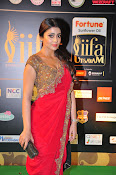 Shriya Sizzling in saree at IIFA Utsavam-thumbnail-9