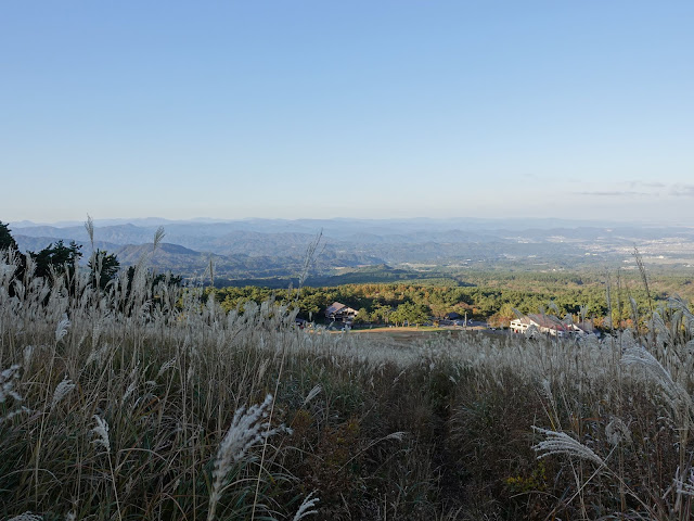 大山 桝水高原からの眺望