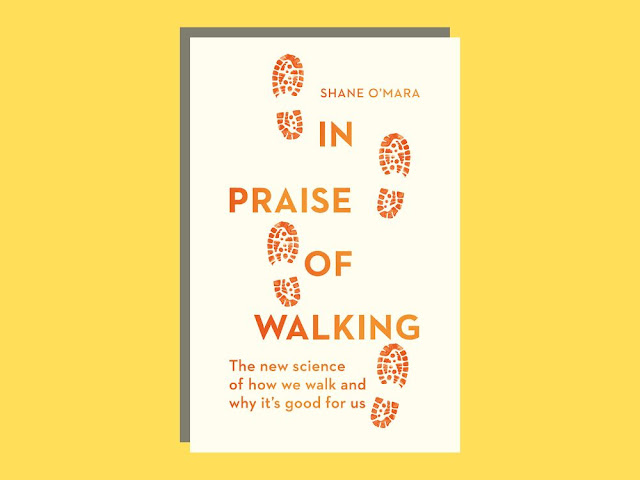 Istimewanya Jalan Kaki menurut Buku In Praise of Walking